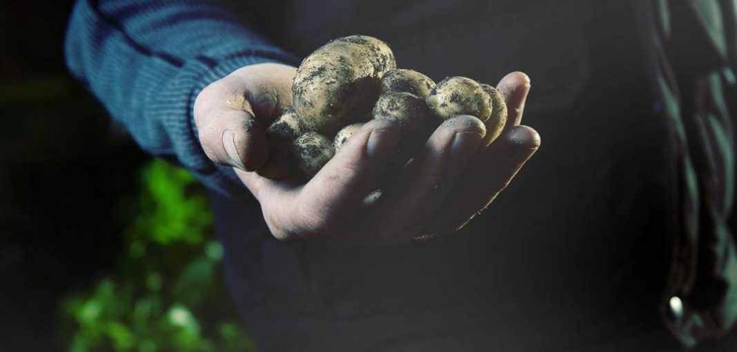 EM360TALK: Întoarcerea la doctrina „Prin noi înșine” EM360TALK: Întoarcerea la doctrina „Prin noi înșine”