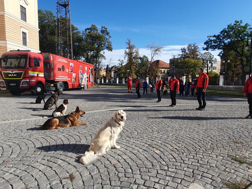 Zilele prevenirii dezastrelor. Cât de pregătiți suntem pentru a preîntâmpina efectele lor? Zilele prevenirii dezastrelor. Cât de pregătiți suntem pentru a preîntâmpina efectele lor?