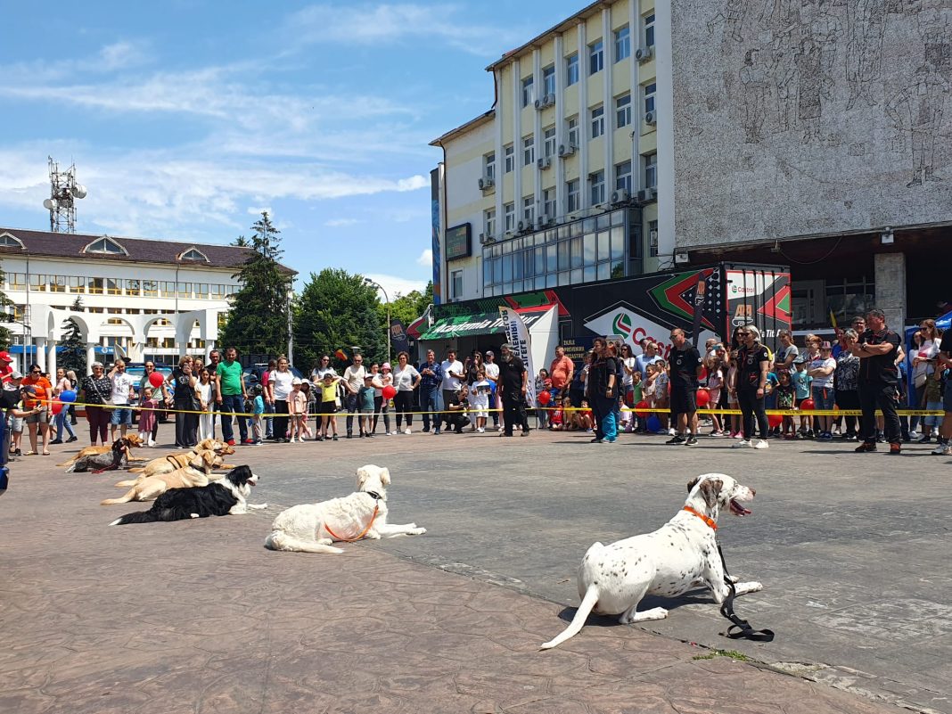 Zilele prevenirii dezastrelor. O comunitate pregătită este o comunitate puternică. Zilele prevenirii dezastrelor. O comunitate pregătită este o comunitate puternică.