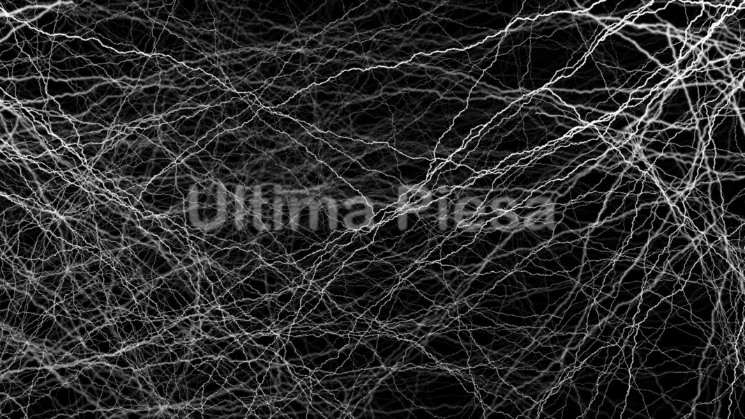 Prima serie de spectacole imersive din istoria Festivalului Enescu: o nouă dimensiune a muzicii clasice, la MINA Prima serie de spectacole imersive din istoria Festivalului Enescu: o nouă dimensiune a muzicii clasice, la MINA